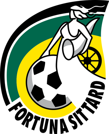 Diamond Painting Fortuna Sittard Logo met Ronde steentjes 80x100cm - Beste Kwaliteit